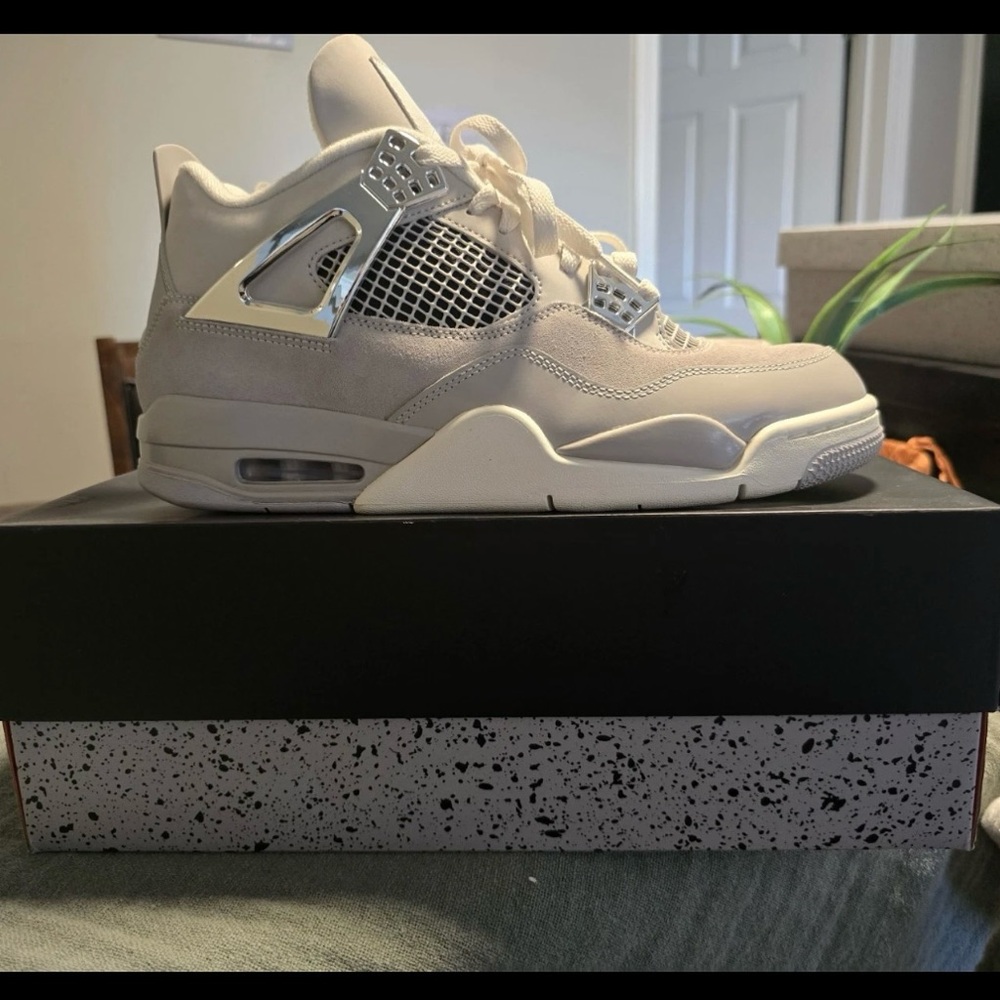 White and Silver Sneakers